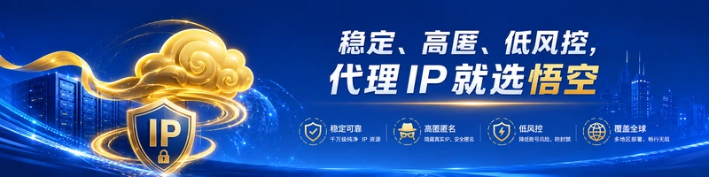 稳定、高匿、低风控，代理 IP 就选悟空